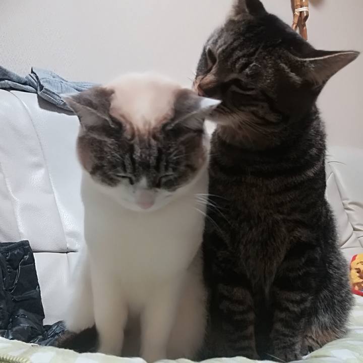 496e7aa3 e1c4 4b08 abec 1735124d3f75 1519561905951