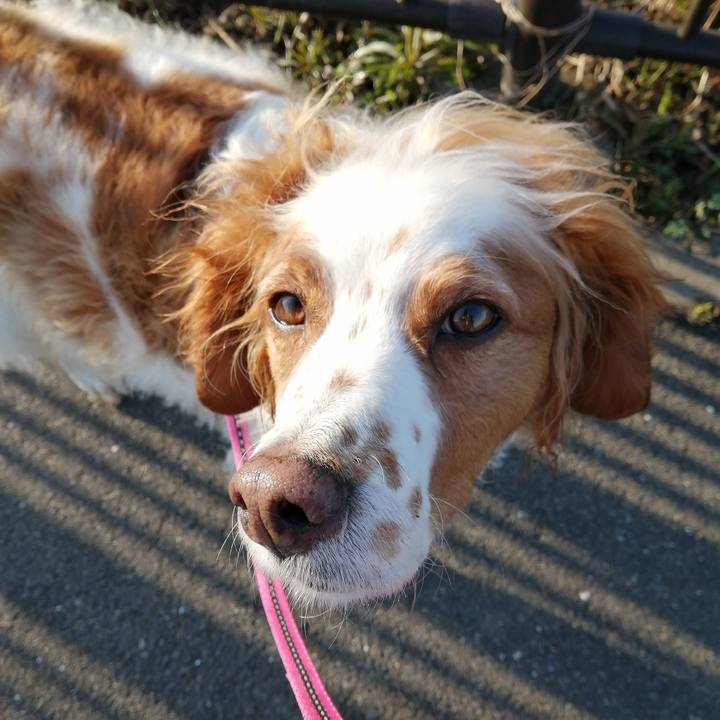 496e9df2 e5f0 44ca a0e7 6593b2a3ef49 1583712882358