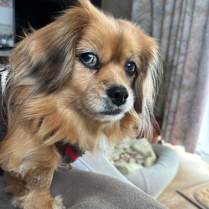 496ebe97 1b09 4a86 9eac ddaca0f612ae 1736729733045