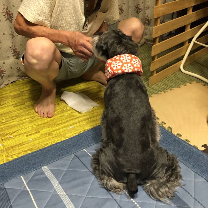 496ef60e 001f 4b02 a392 7d8ab6f77e43 1691584564081