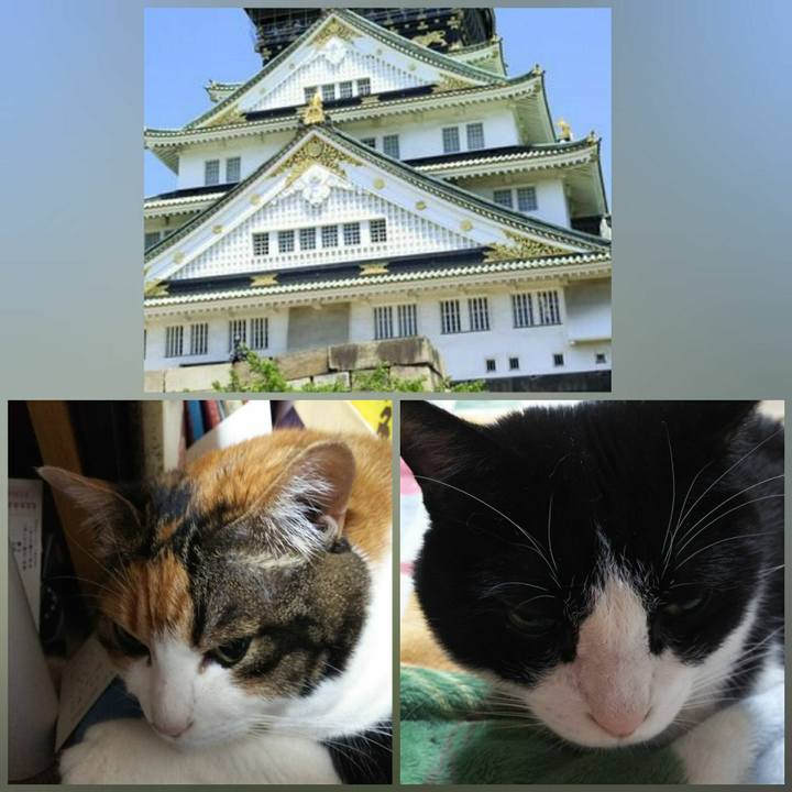 496f3e31 af99 4d6a 826f 5164391c19bc 1544231403006