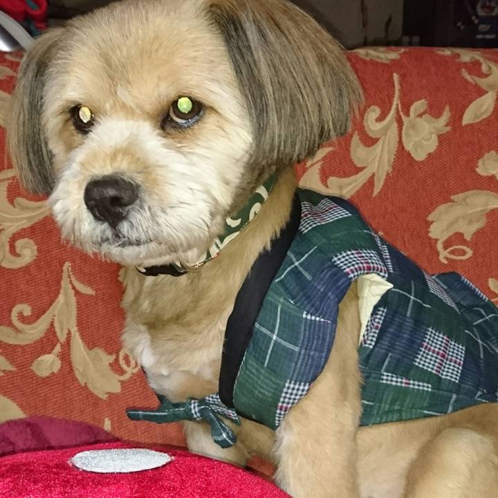 496f4f9c b6d1 45c3 b65b 6429eca62a35 1513500315011