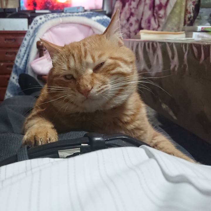 496f5492 959a 46f8 bb40 edde18d879b0 1651494544572