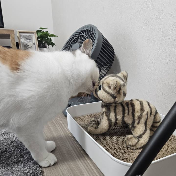 496f618c 9170 42b2 acd0 1a0c21ddf628 1757745283740