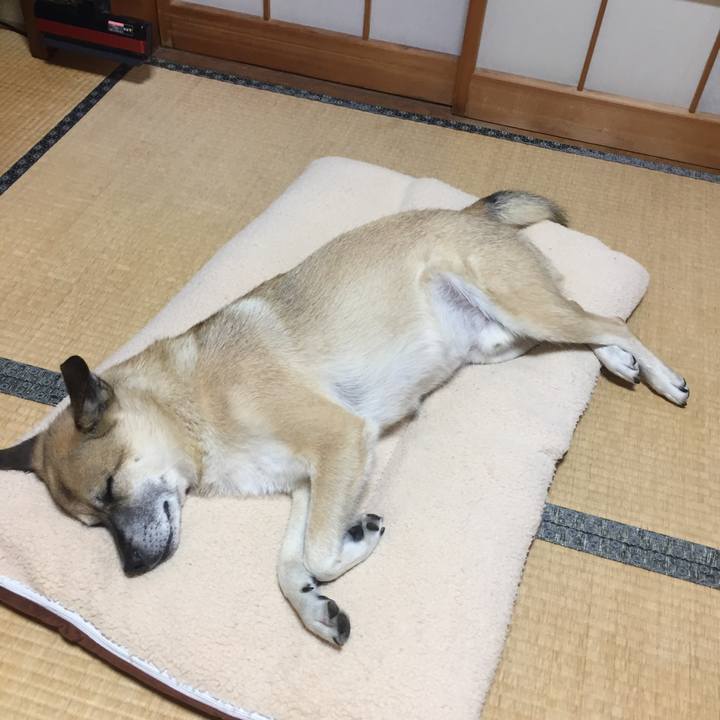 496f9f91 f083 490d 96c6 958b9ac1f981 1531750076044