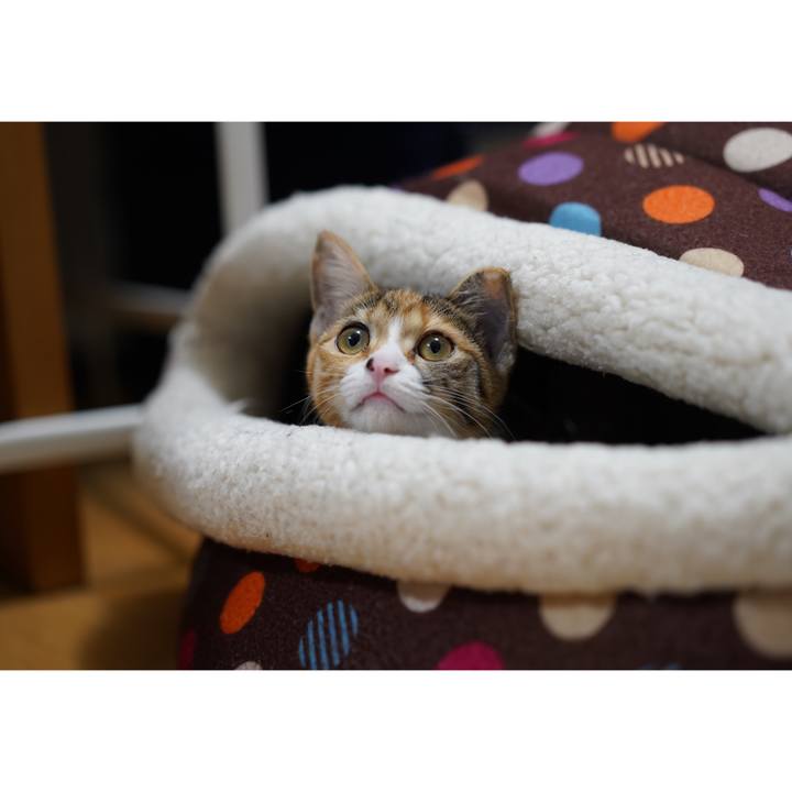 496fe5e2 984e 4af9 9e3b 618b800ca0be 1574911734140