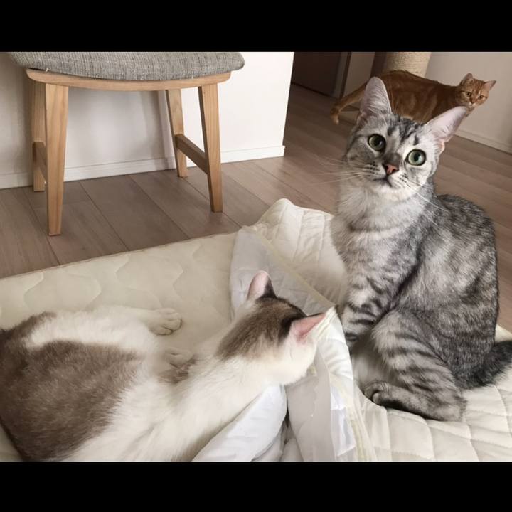 496ff02a 09a0 43b1 a2af 34059671aeac 1531349424830