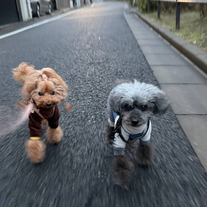 496ffca0 b304 4db6 a8b3 08124ef21255 1766965711495