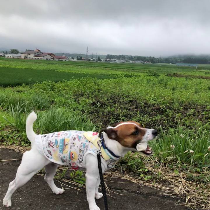 49700bee 9c32 4f38 99ce ff1281d1e370 1594549683774