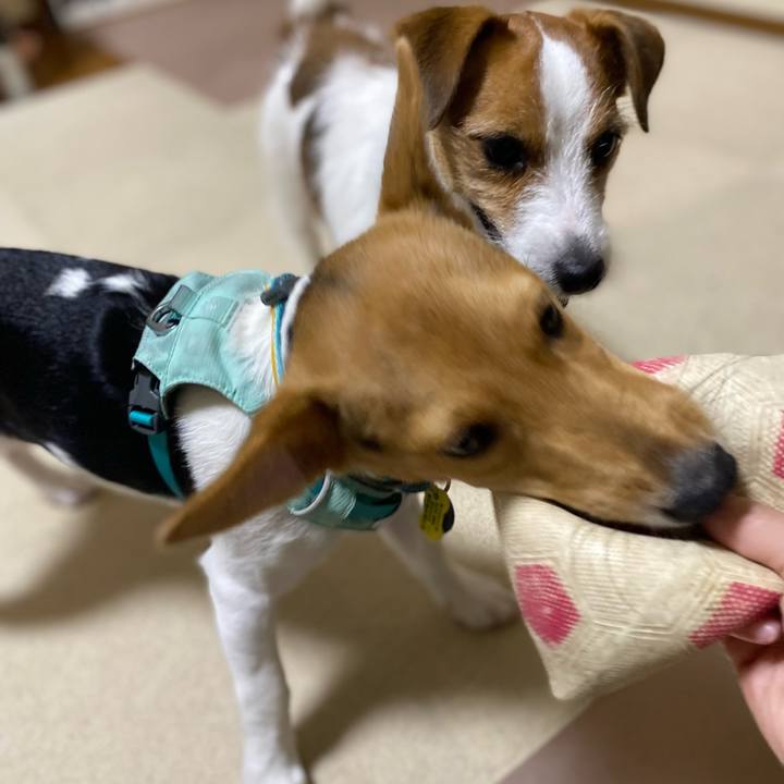 49705f09 396c 4ec9 acf6 52bb573737f0 1752097842924