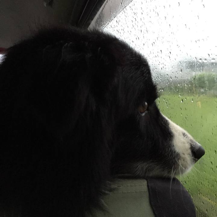 49707506 7a87 494f 9211 f7d8f861f3dd 1537481198498