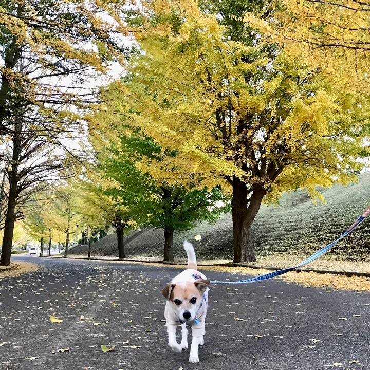 4970806d 5d1c 4f24 82ff a67e443d5fdd 1636961669950