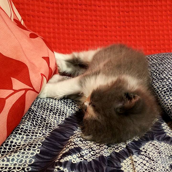 4970825c 7c1e 4741 ac0c b22d6e10f636 1558264408573