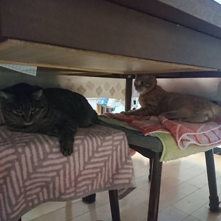 4970bf81 73ae 4da3 87b2 e5d7c627f4a4 1642294980910