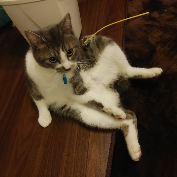 4970ef12 29bc 419f 9fa0 b1edc1014718 1580210366685