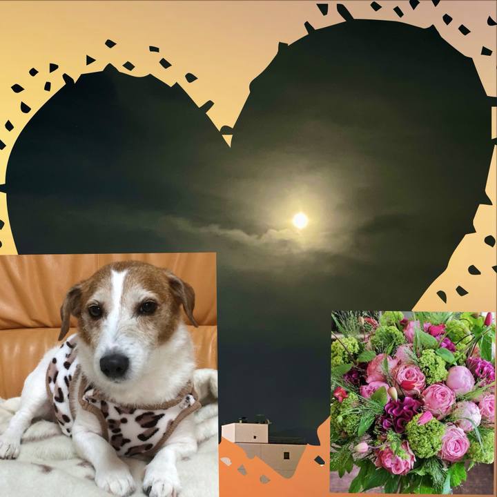 4970fd8f c550 4db1 918e b7c7360922df 1716466696650