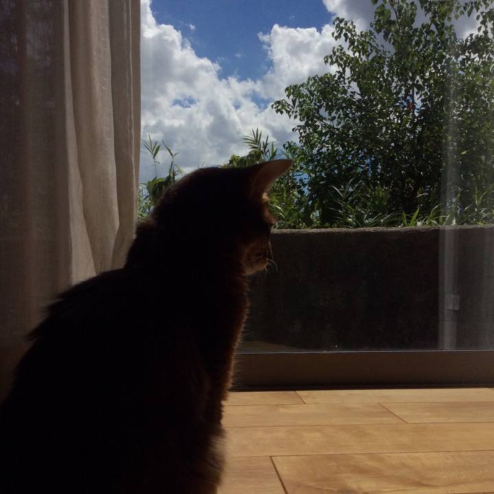 497106e0 eca4 4ee0 bc11 c6a9231f4b4d 1567742145803