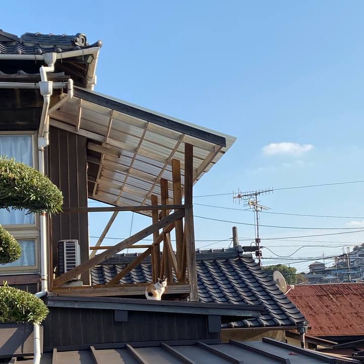 4971085c 08fc 40bb 9845 ede69d240830 1637243843302