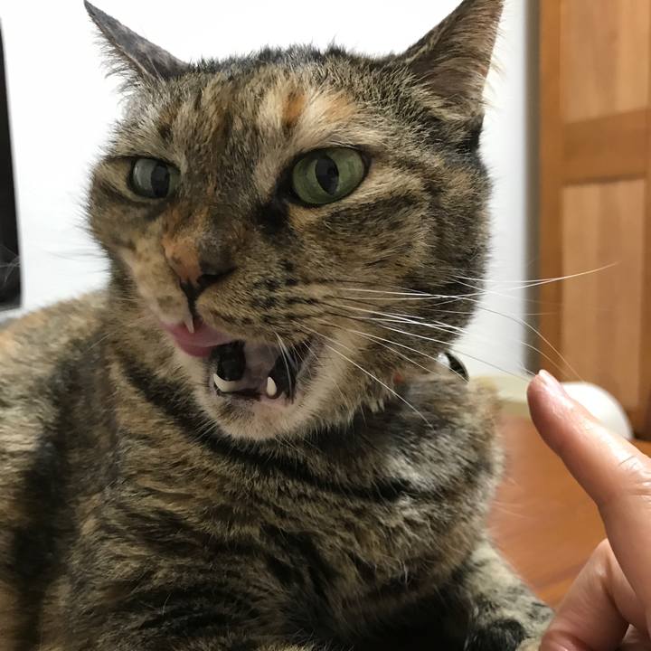 49710e81 c740 46a3 919b bcef8ef37308 1526562238445