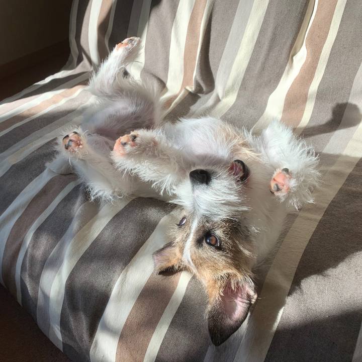 49710f44 cb54 4ad6 86a9 184d558b4a33 1574296573276