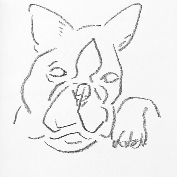 497136d9 083a 4982 a3ce 8913c9dd4cd8 1524548593689