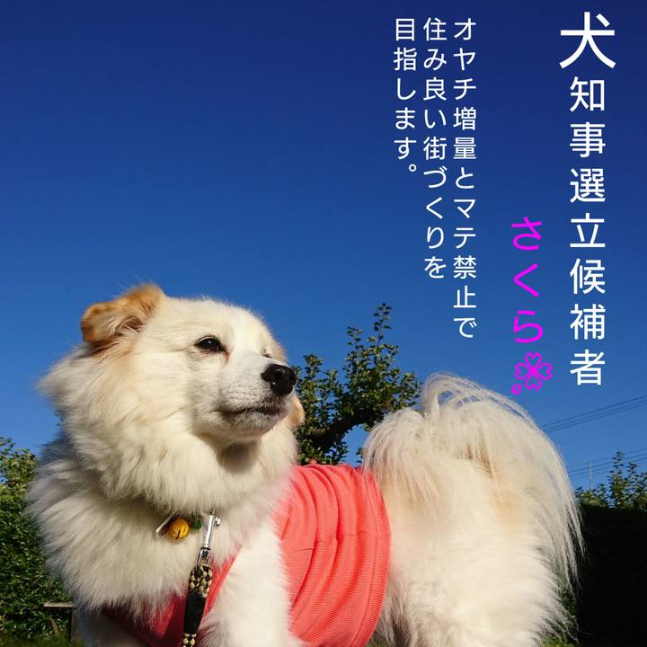 497147d4 f9ab 4b55 915d 13a71ab710bf 1540079608147