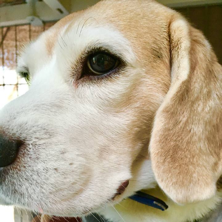 497169e7 d549 4659 ae6e 15fd73e7b241 1762782640902