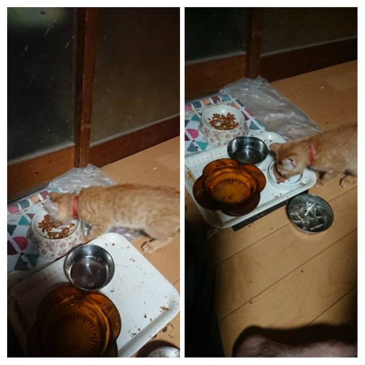 49717c9c cfe5 4e6f bd89 7df636f17839 1631737791920