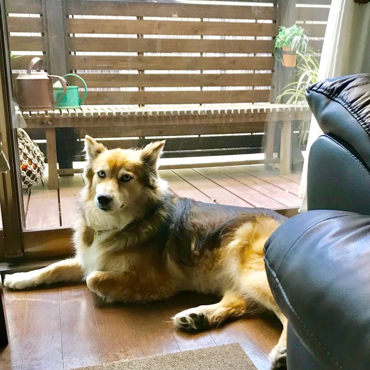 497183a3 9527 4bf2 a476 c34e1947c83c 1559008266697