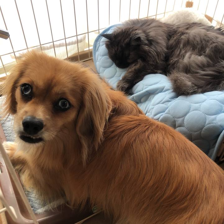 4971de77 1b13 4b23 a711 8d3c1878a6d1 1532819752303