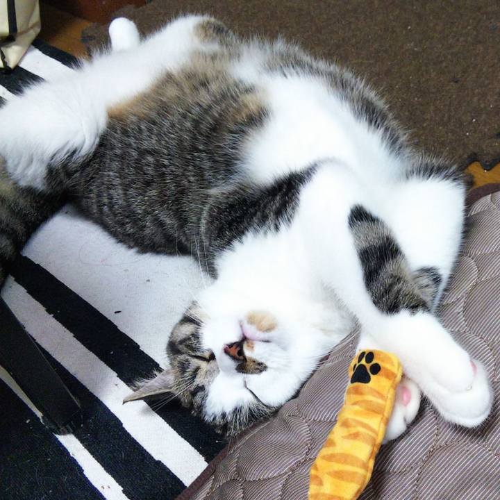 4971f48d eeac 42e2 86e8 ebfbcd8a247a 1626263468972