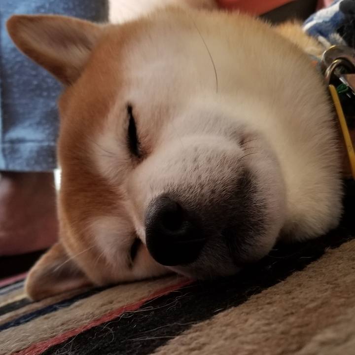 4972141f f826 457c 9c0f 74ee0c5de2e6 1579910473498