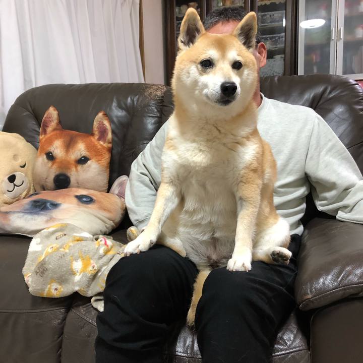 49722777 8b8b 4886 9965 90fc2455eaac 1552526033249