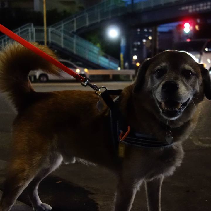 497243d3 3e1d 4e43 9b7a 5b1df525205e 1568630317876