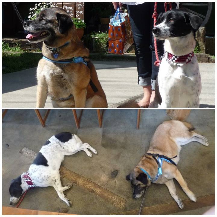 497249a8 3c9c 4393 a84d 526047ea7720 1578003118967