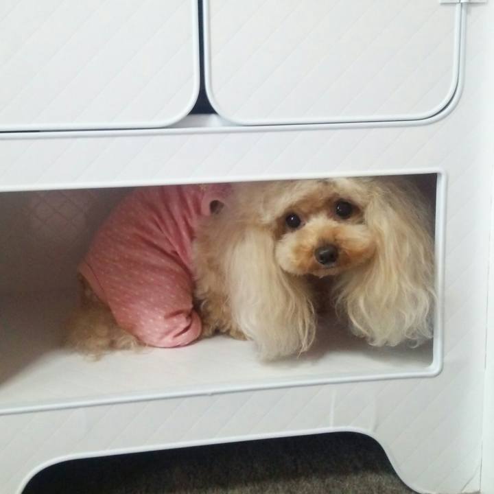 49727317 fb89 4c59 85ef c081f302d313 1560772536020