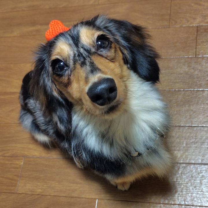 49728347 972c 4661 87cd 6e09a333bff1 1725623025991