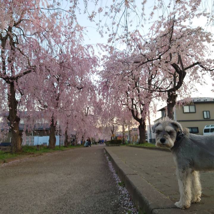 4972b505 8479 4123 990e 0bd20f1decf4 1776081746399