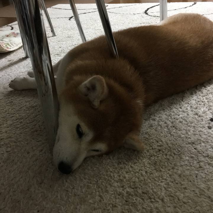 4972e084 6882 4af0 9778 b6056839f523 1533184589687