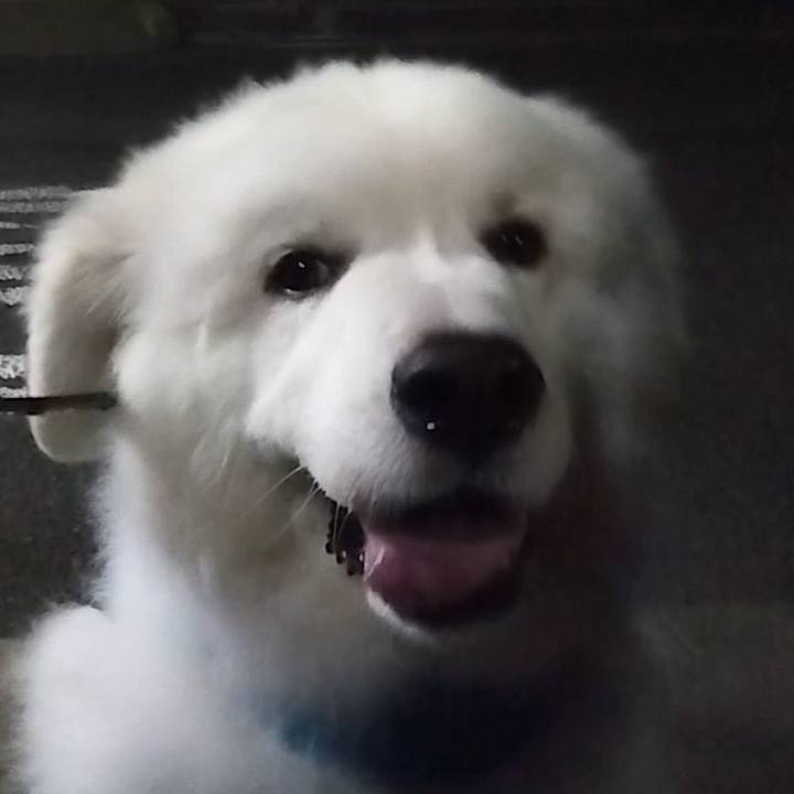 4972fbf5 2bbd 4a9a aa90 bc55b9b47bad 1693687656945