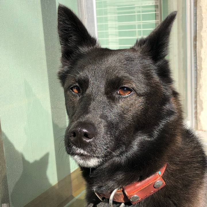 49731a06 1be6 4bef 8dc6 fa03c776c90c 1576454133349