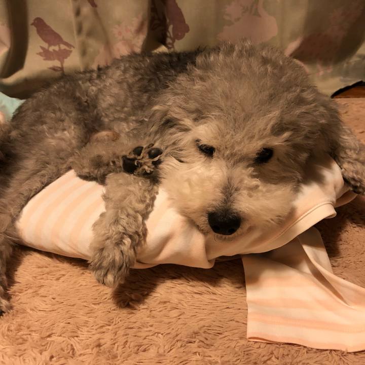 49732046 c2fe 42d8 adf5 ec03b20227a3 1561935141809