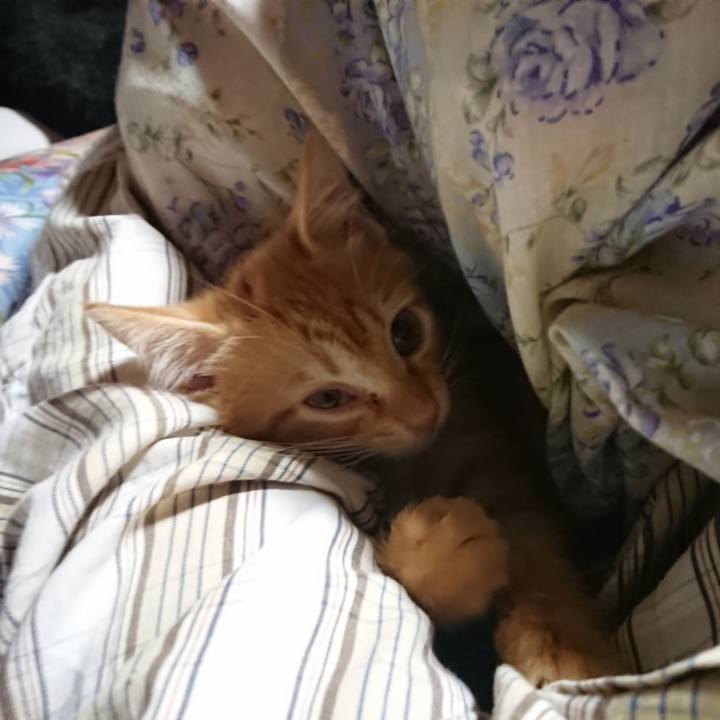 4973b03b 33a6 41a1 923d 446c80df64ad 1629058206292