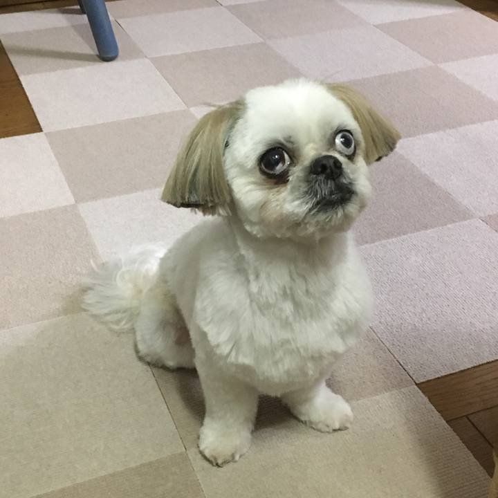 4973b4cb 040b 469b 849c f967a4fb24e5 1516445372547