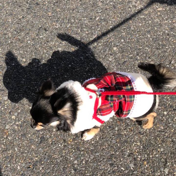 4973bba7 c811 4e57 b333 c5d77f684afe 1549172706503