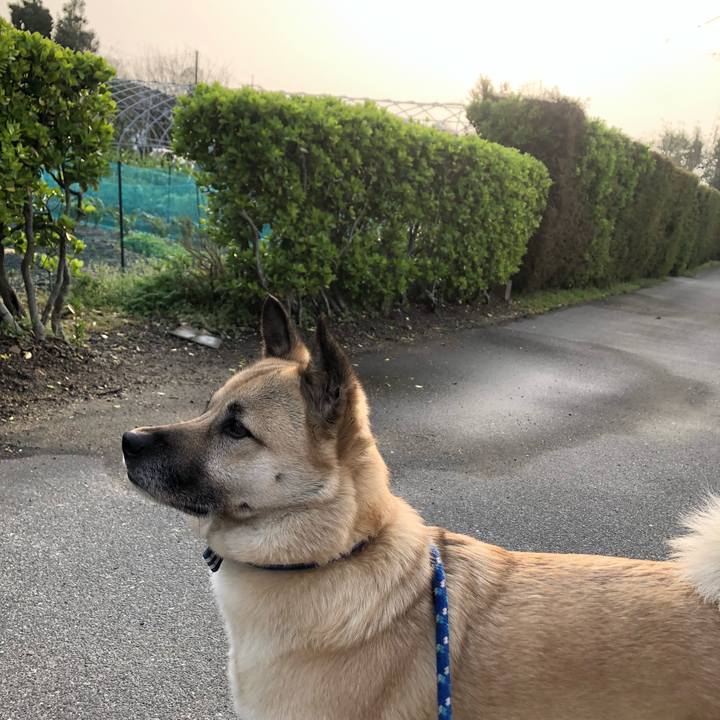 4973fb03 24ef 4a9a 91ab 5b7b103d7a08 1617018546837