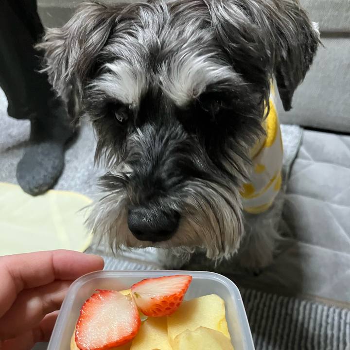 4973ff1f 6b0e 43ed b146 90c31775c34a 1772707653805