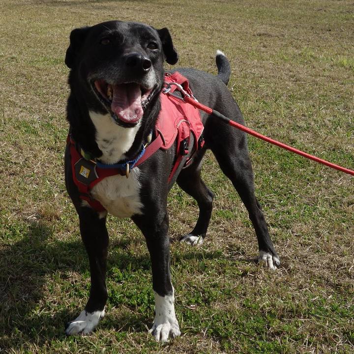 4974034a 611b 42a5 a6e3 d3e14dd2bc55 1681175988477