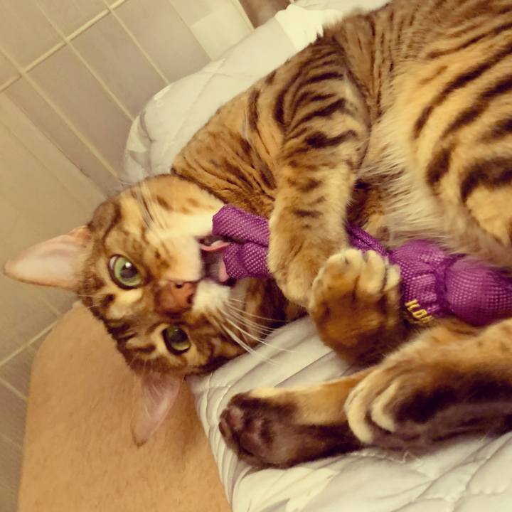 4974339c c7a5 42c0 a868 e3403388cf9e 1595974890845