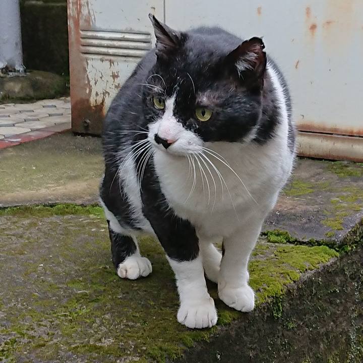 49744944 d003 49c4 9432 e5f5882e21c6 1580022909659